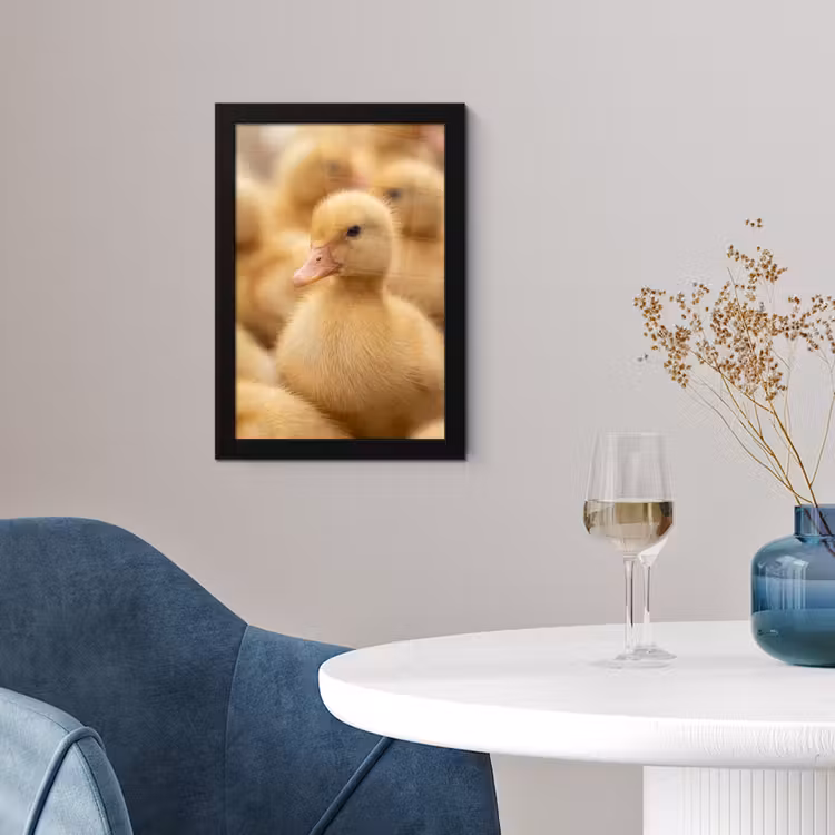 Pijltje - Eend - Natuur - Geel fotolijst zwart zonder passe partout klein -sfeer4