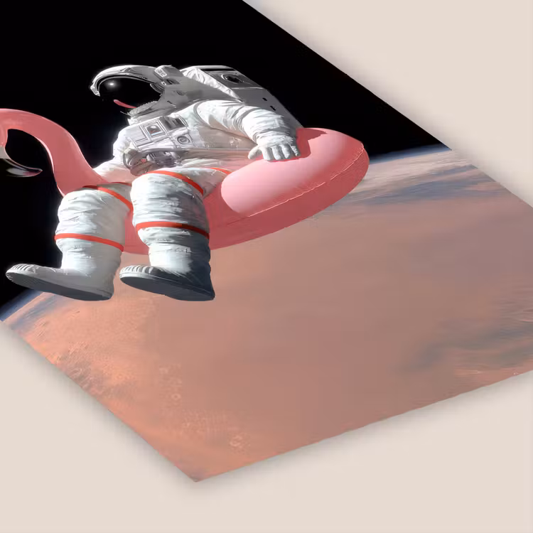 Astronaut - Flamingo - Zwemband - Roze fotolijst zwart zonder passe partout klein -zsfeer6