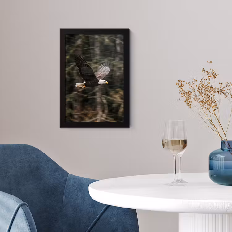 Zeearend - Vliegen - Bos - Natuur fotolijst zwart zonder passe partout klein -sfeer4