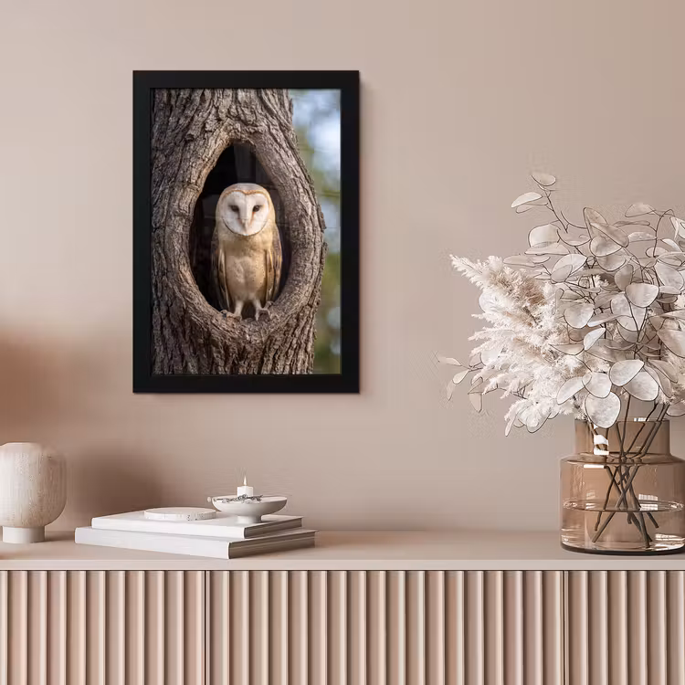 Kerkuil - Boom - Natuur - Bruin fotolijst zwart zonder passe partout klein -sfeer5