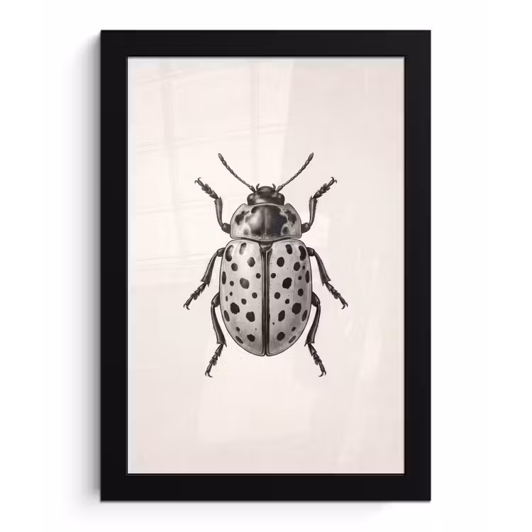 Kever - Insect - Vintage fotolijst zwart zonder passe partout klein -3d