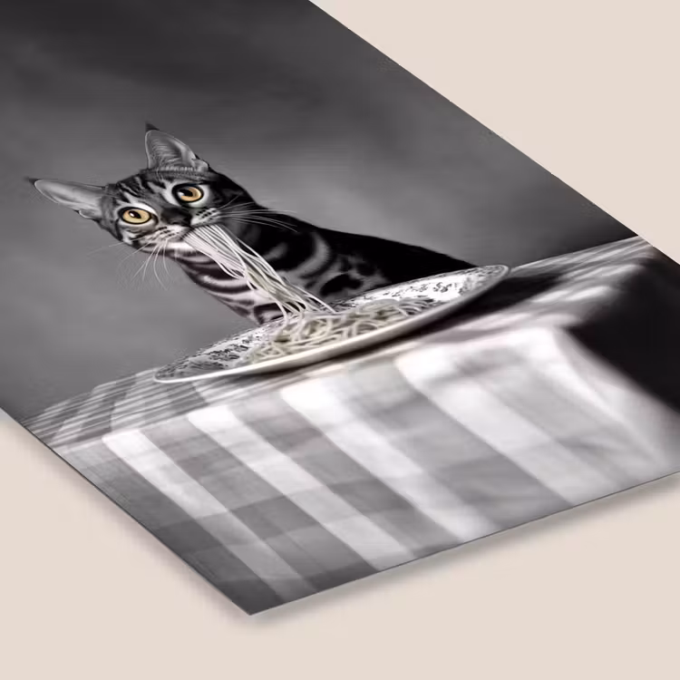 Bengaal - Kat - Tafelkleed - Zwart - Wit - Dier fotolijst zwart zonder passe partout klein -zsfeer6
