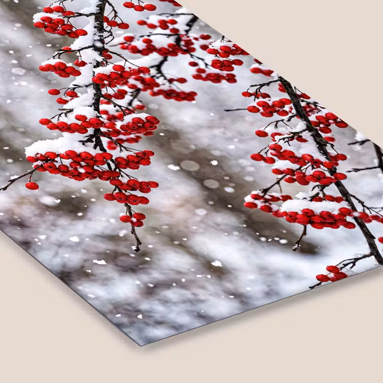 Bessen - Takken - Sneeuw - Winter - Kleurrijk fotolijst zwart zonder passe partout klein -zsfeer6