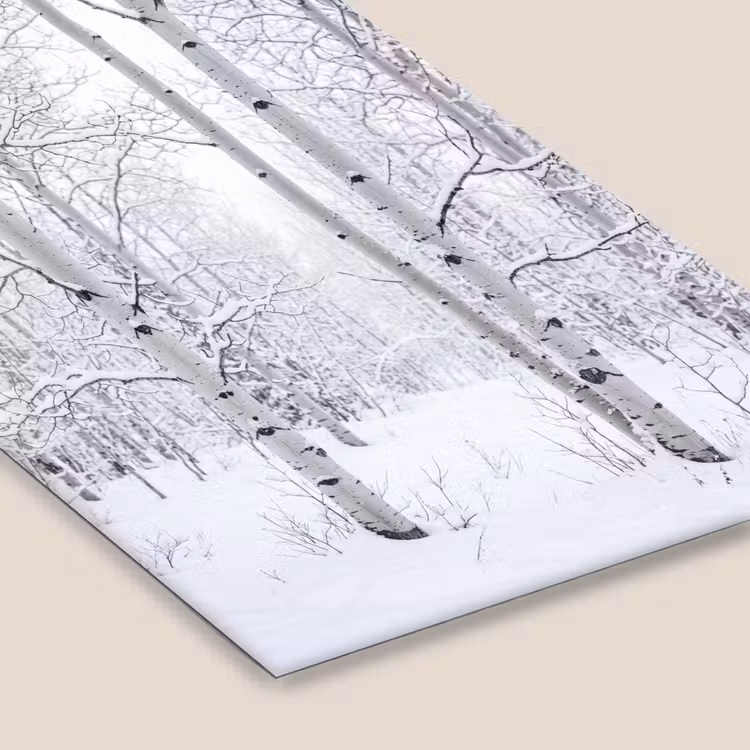 Berkenbomen - Sneeuw - Winter - Bos - Wit fotolijst zwart zonder passe partout klein -zsfeer6
