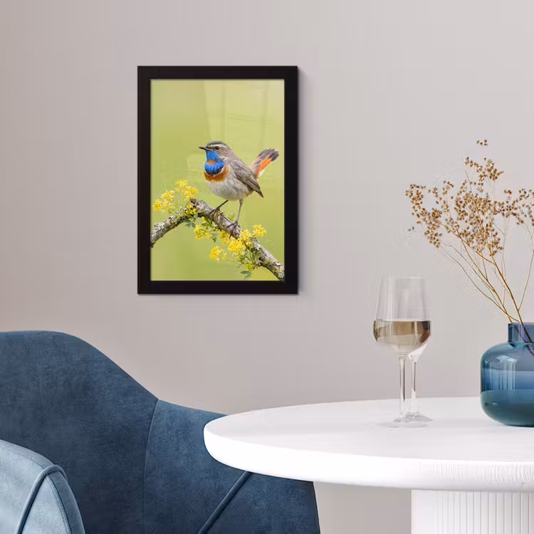 Vogel - Tak - Natuur - Kleurrijk fotolijst zwart zonder passe partout klein -sfeer4
