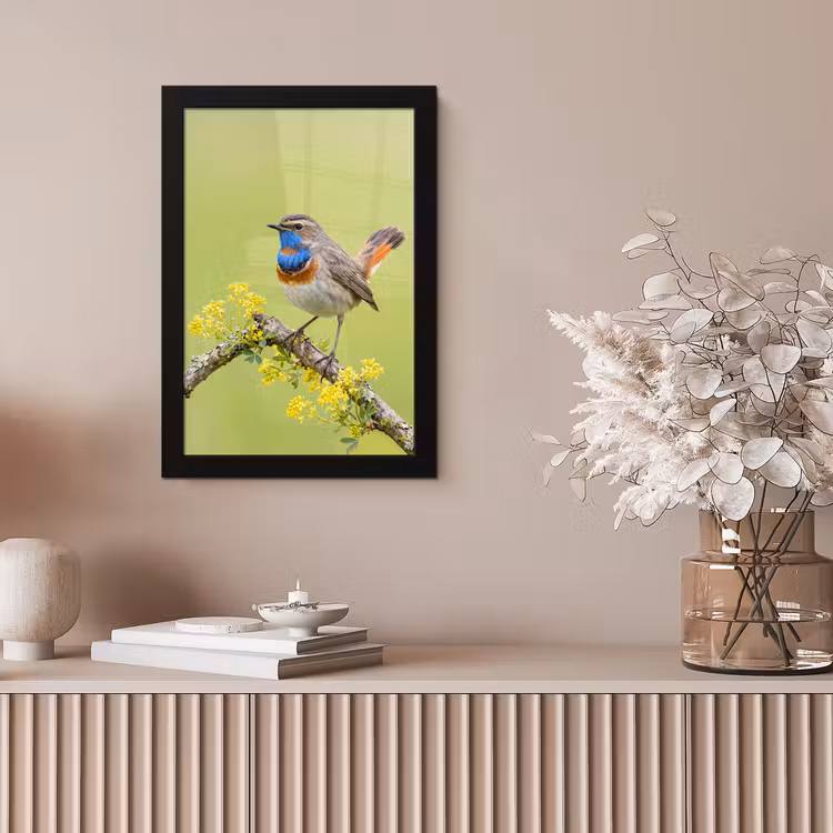 Vogel - Tak - Natuur - Kleurrijk fotolijst zwart zonder passe partout klein -sfeer5