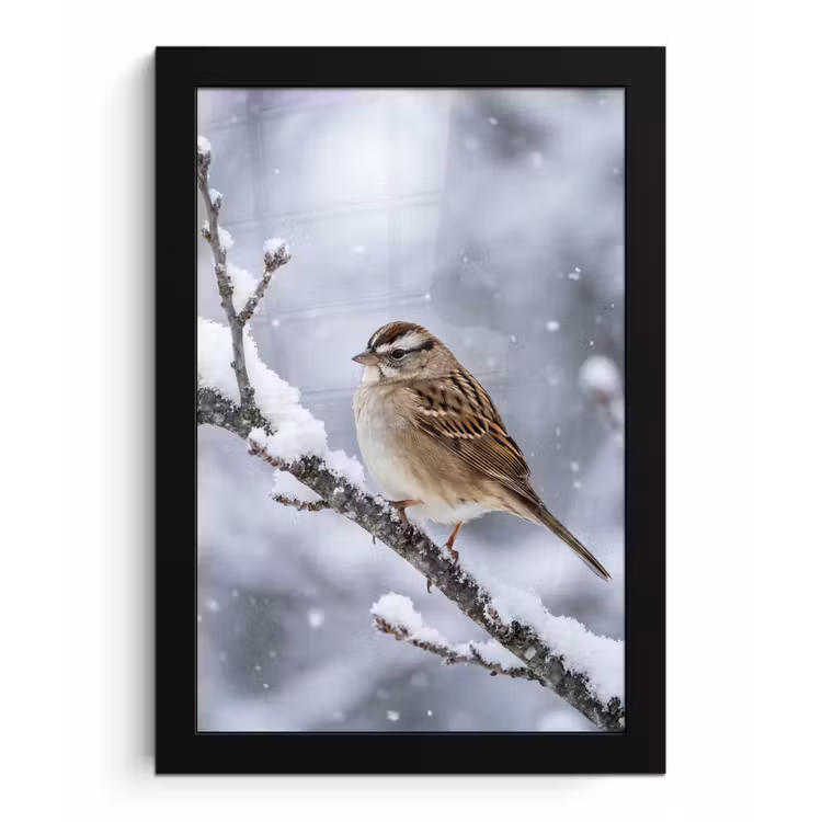 Vogel - Tak - Sneeuw - Winter fotolijst zwart zonder passe partout klein -3d