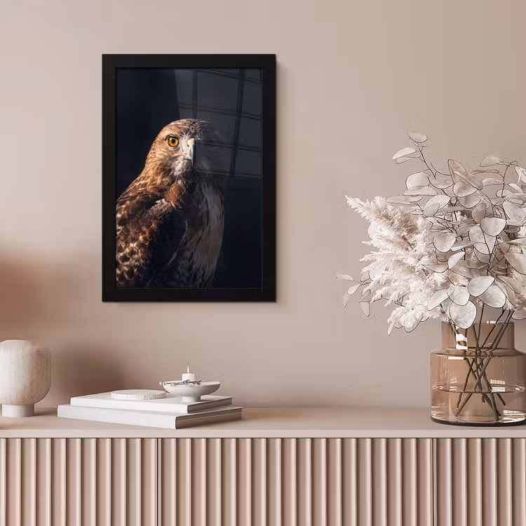 Roofvogel - Buizerd - Bruin fotolijst zwart zonder passe partout klein -sfeer5