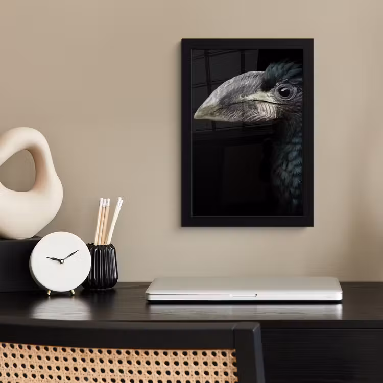 Vogel - Portret - Neushoornvogel - Zwart - Dieren fotolijst zwart zonder passe partout klein -sfeer1