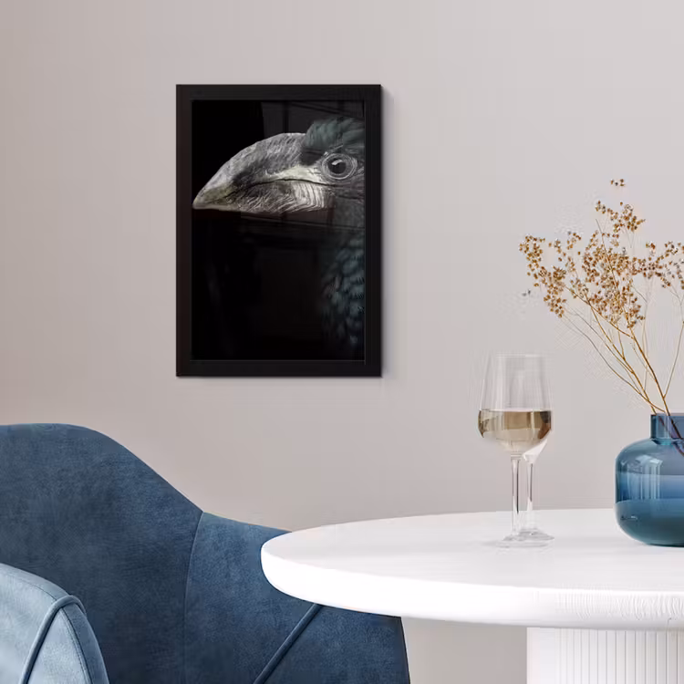 Vogel - Portret - Neushoornvogel - Zwart - Dieren fotolijst zwart zonder passe partout klein -sfeer4