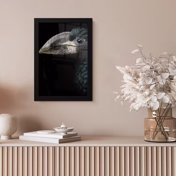 Vogel - Portret - Neushoornvogel - Zwart - Dieren fotolijst zwart zonder passe partout klein -sfeer5