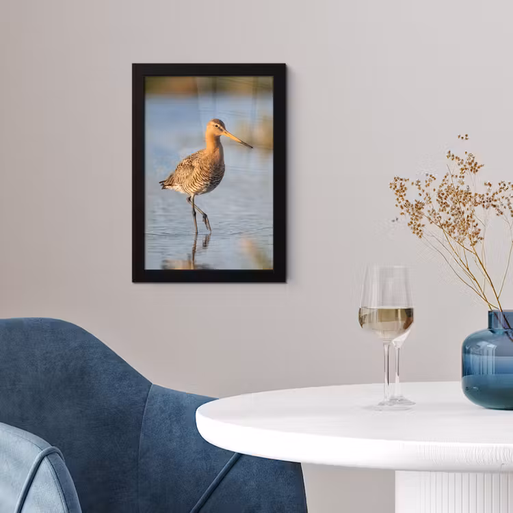 Vogel - Steltloper - Water - Natuur fotolijst zwart zonder passe partout klein -sfeer4