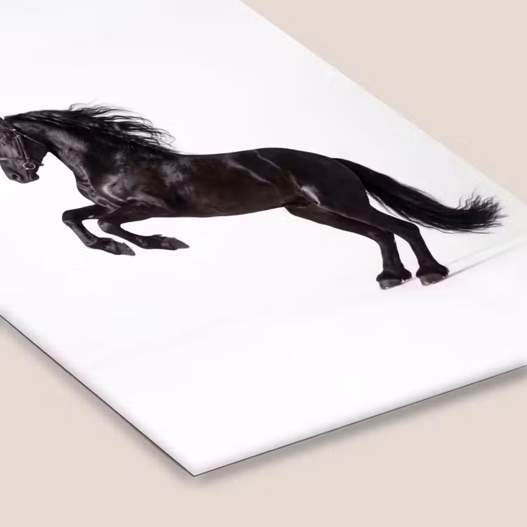 Zwart - Paard - Portret fotolijst zwart zonder passe partout klein -zsfeer6