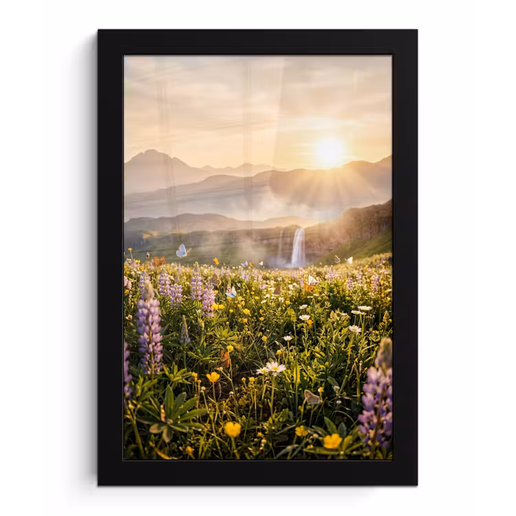 Vlinders - Waterval - Bloemenveld fotolijst zwart zonder passe partout klein -3d