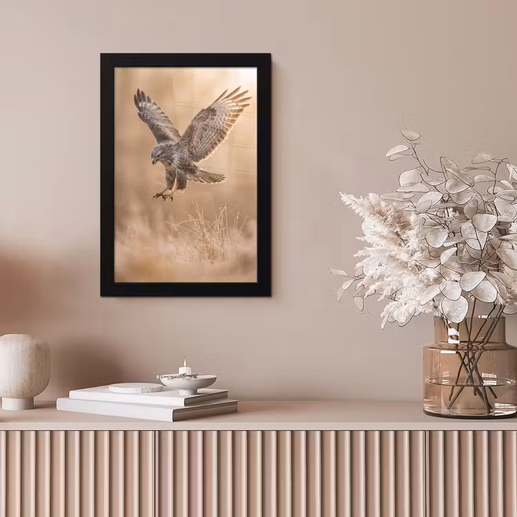 Buizerd - Roofvogel - Natuur - Bruin fotolijst zwart zonder passe partout klein -sfeer5
