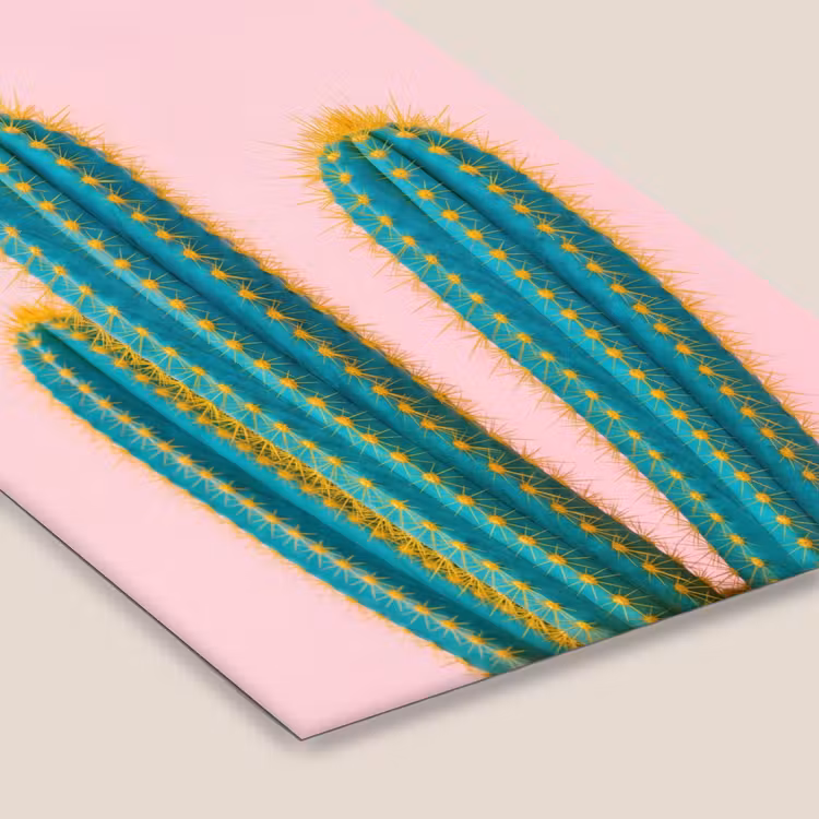 Cactussen - Modern - Pastel fotolijst zwart zonder passe partout klein -zsfeer6