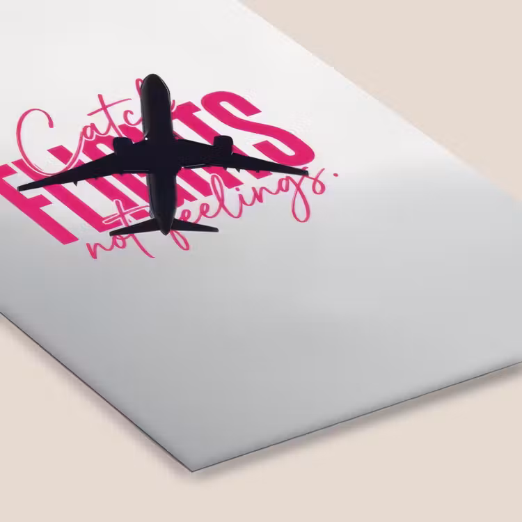 Catch flights not feelings - Vliegtuig - Roze fotolijst zwart zonder passe partout klein -zsfeer6