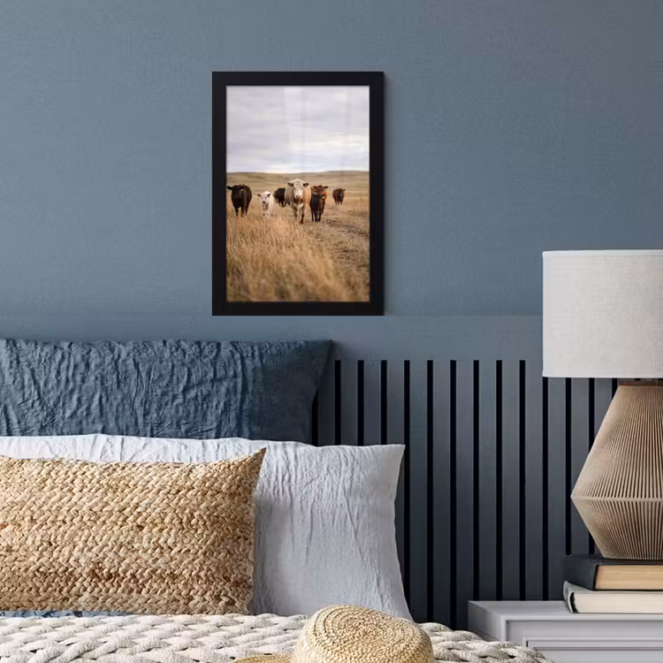 Runderen - Kudde - Landschap - Weide - Rustig fotolijst zwart zonder passe partout klein -sfeer3