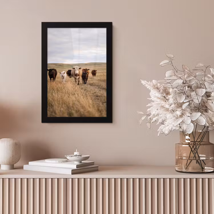 Runderen - Kudde - Landschap - Weide - Rustig fotolijst zwart zonder passe partout klein -sfeer5