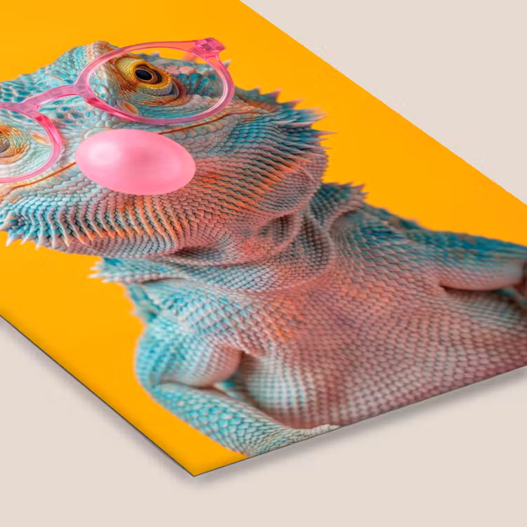 Kameleon - Kauwgom - Kleurrijk fotolijst zwart zonder passe partout klein -zsfeer6