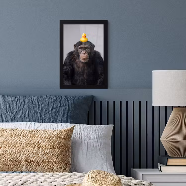 Chimpansee - Badeend - Grijs fotolijst zwart zonder passe partout klein -sfeer3