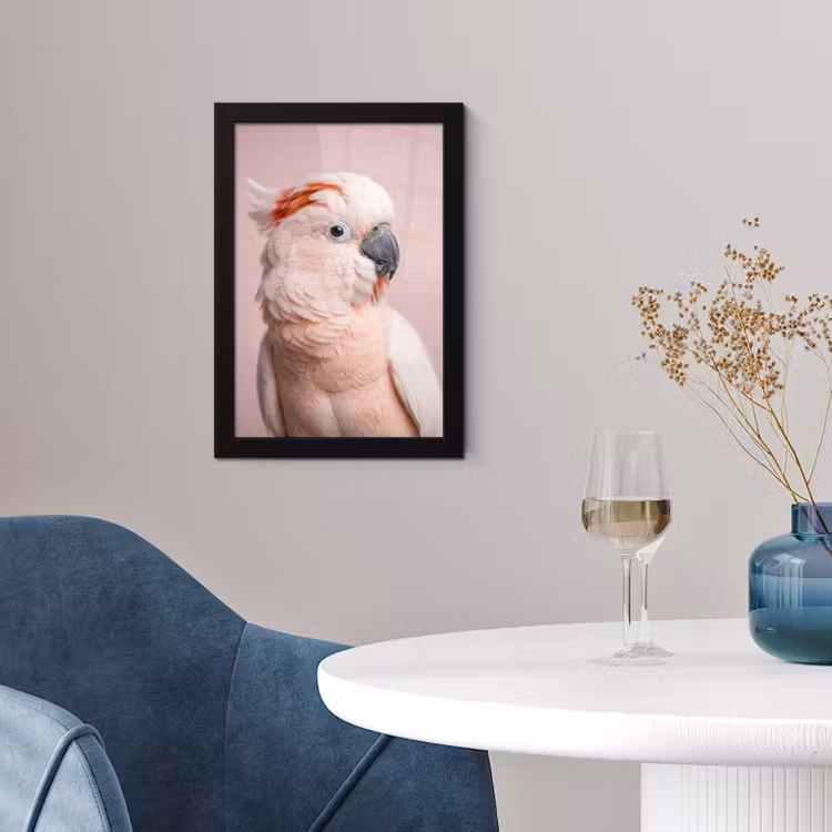 Kaketoe - Portret - Roze fotolijst zwart zonder passe partout klein -sfeer4