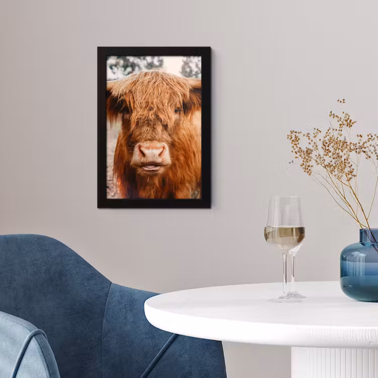 Koe- Schotse hooglander - Hoorns - Bruin - Landschap fotolijst zwart zonder passe partout klein -sfeer4