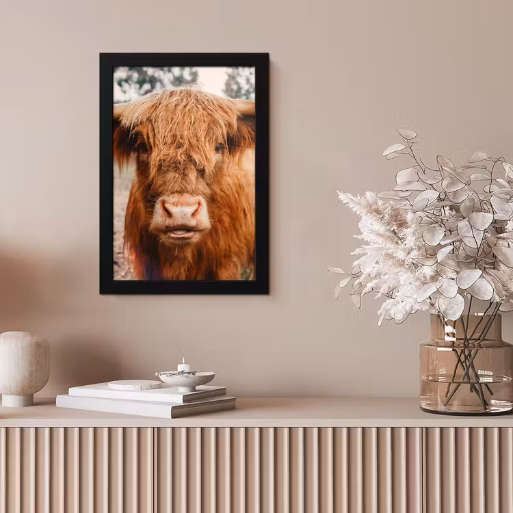 Koe- Schotse hooglander - Hoorns - Bruin - Landschap fotolijst zwart zonder passe partout klein -sfeer5