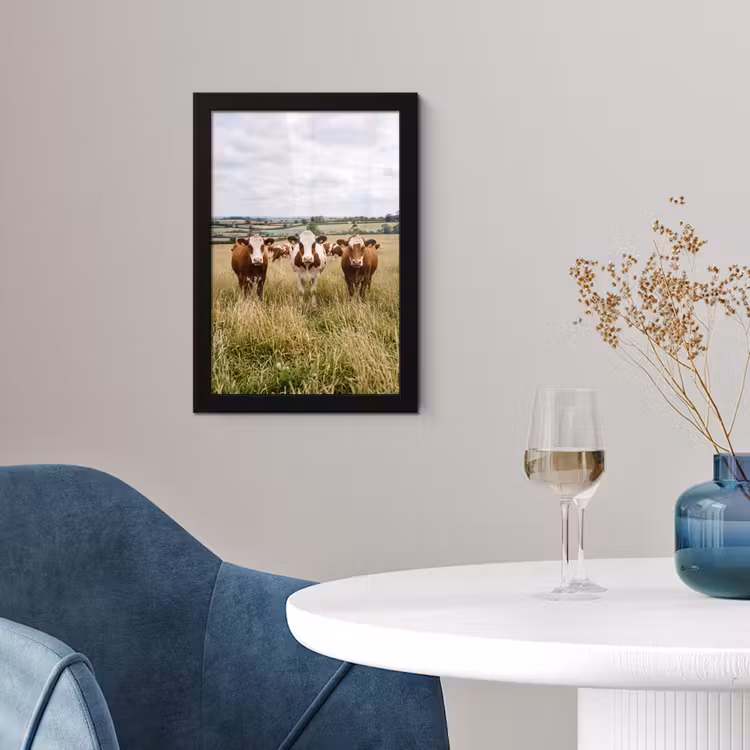 Koeien - Portret - Weide - Boerderij - Nieuwsgierig fotolijst zwart zonder passe partout klein -sfeer4