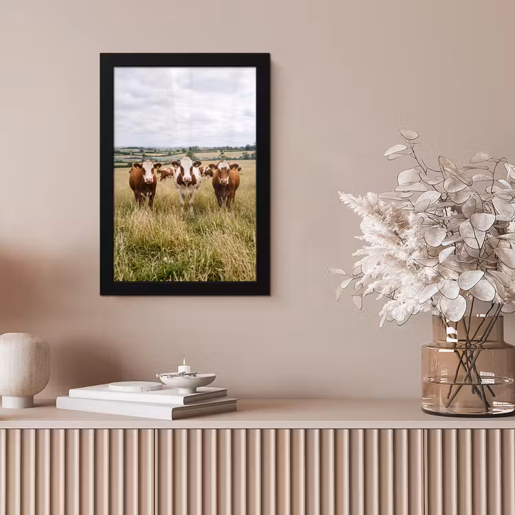 Koeien - Portret - Weide - Boerderij - Nieuwsgierig fotolijst zwart zonder passe partout klein -sfeer5