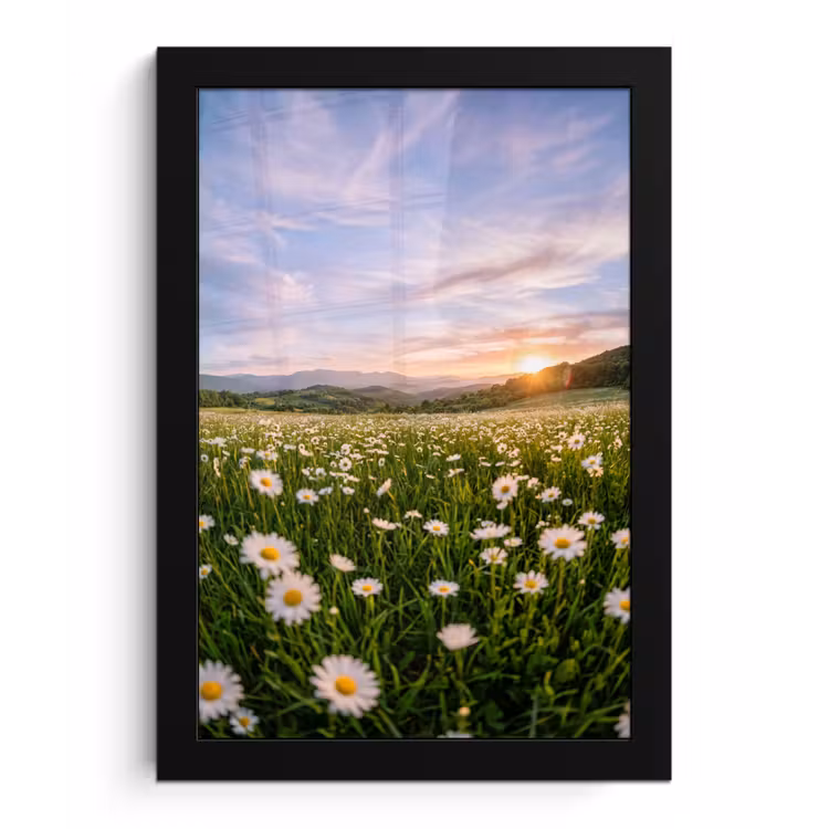 Madelief - Veld - Heuvels - Groen fotolijst zwart zonder passe partout klein -3d