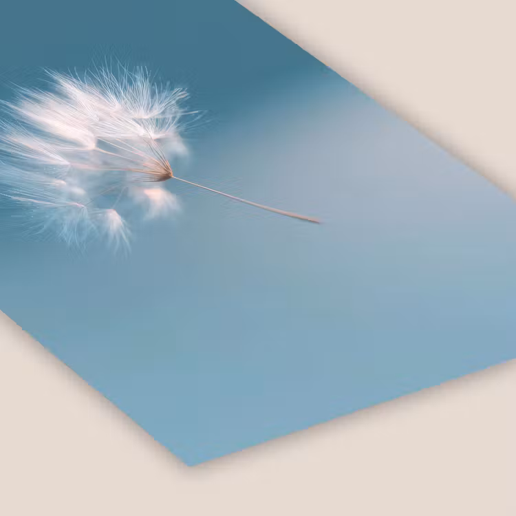 Paardenbloempluisje - Blauw - Lucht fotolijst zwart zonder passe partout klein -zsfeer6