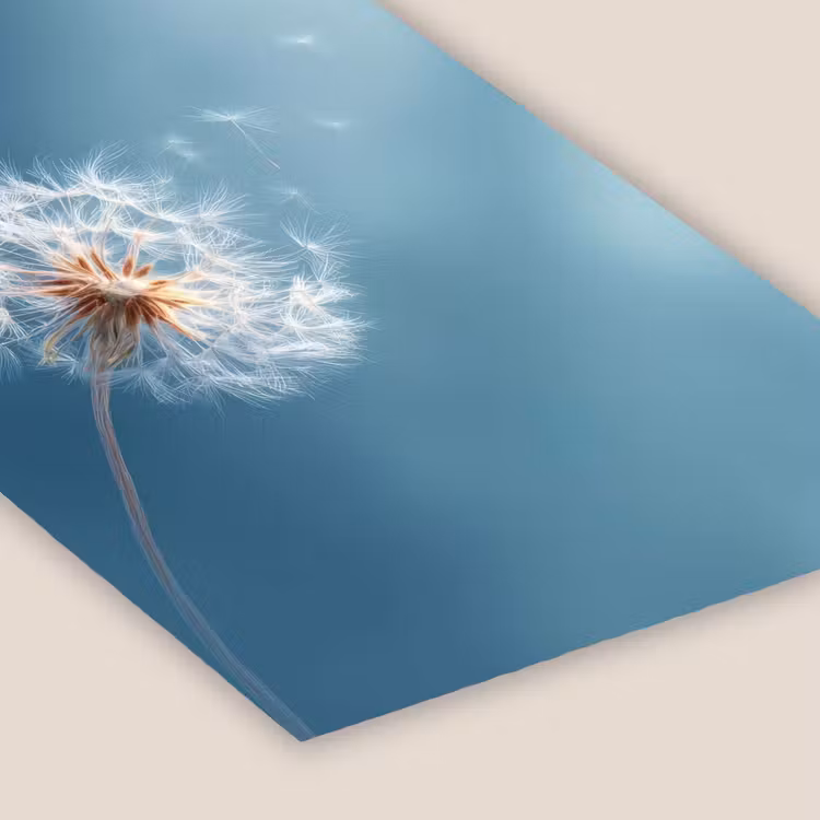 Paardenbloem - Wind - Blauw fotolijst zwart zonder passe partout klein -zsfeer6