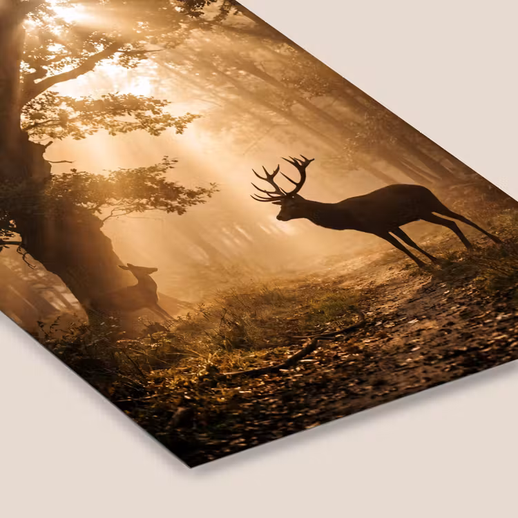 Hert - Bos - Mistig - Natuur - Goud fotolijst zwart zonder passe partout klein -zsfeer6