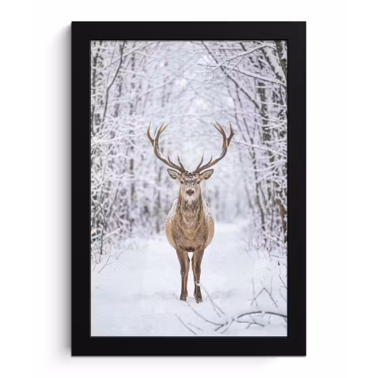 Hert - Winter - Bos - Natuur - Wit fotolijst zwart zonder passe partout klein -3d