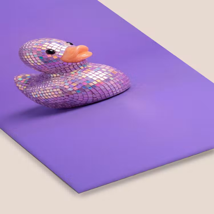 Disco - Eend - Paars fotolijst zwart zonder passe partout klein -zsfeer6