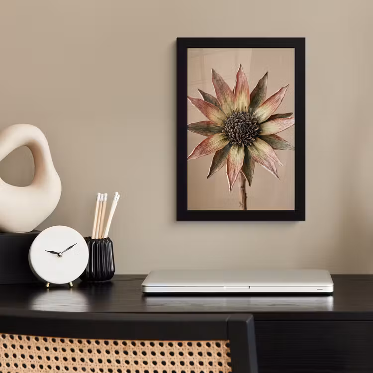 Droogbloem - Protea - Vintage - Beige - Rustiek fotolijst zwart zonder passe partout klein -sfeer1