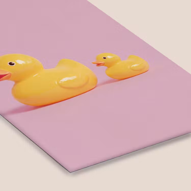 Eendjes - Vrolijk - Roze fotolijst zwart zonder passe partout klein -zsfeer6