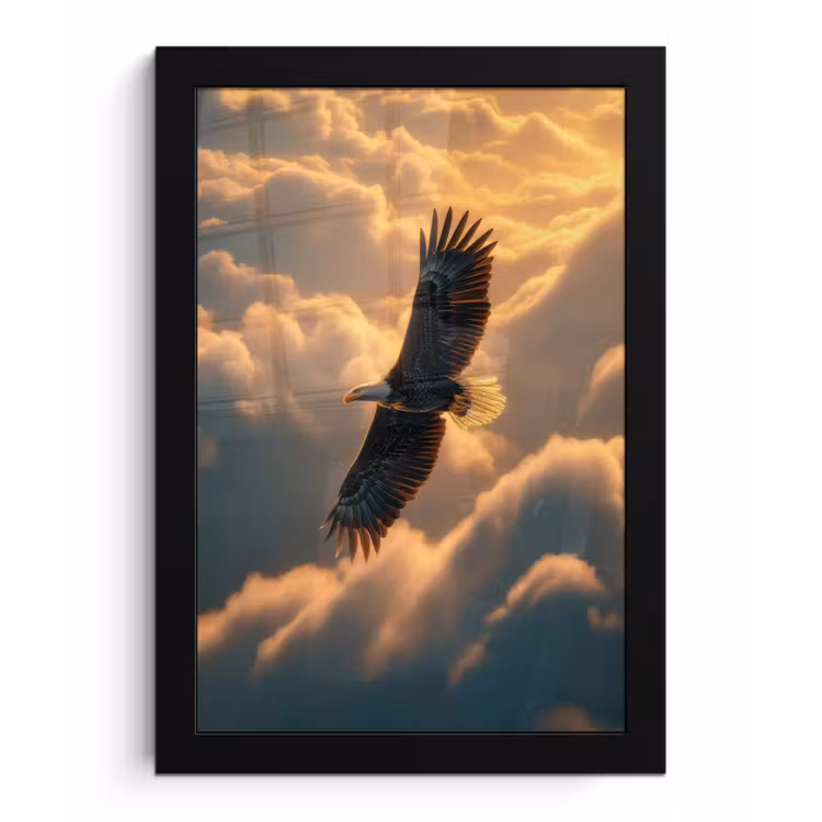 Adelaar - Wolken - Zon fotolijst zwart zonder passe partout klein -3d