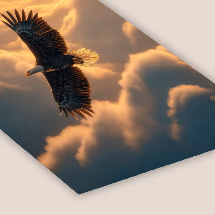 Adelaar - Wolken - Zon fotolijst zwart zonder passe partout klein -zsfeer6