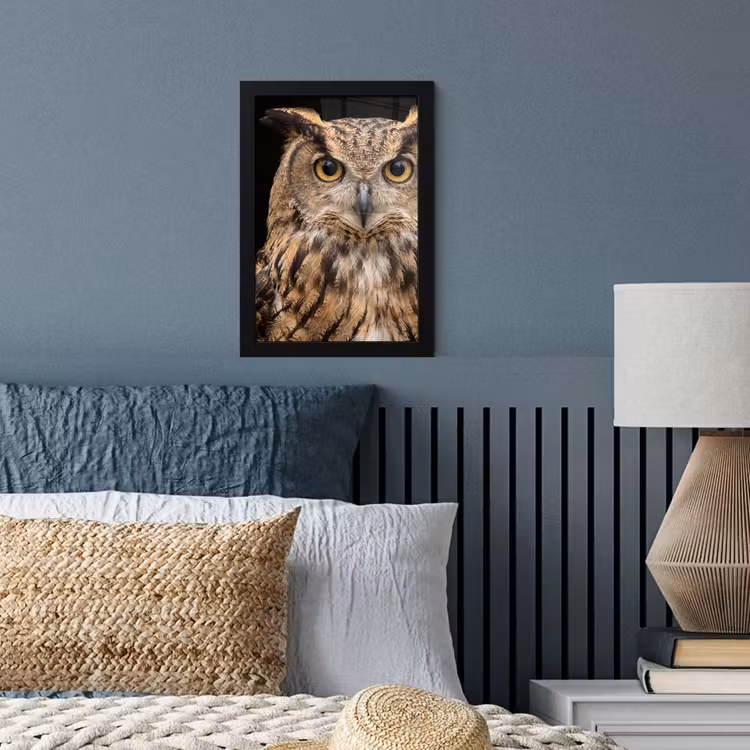 Oehoe - Uil - Portret - Bruin fotolijst zwart zonder passe partout klein -sfeer3