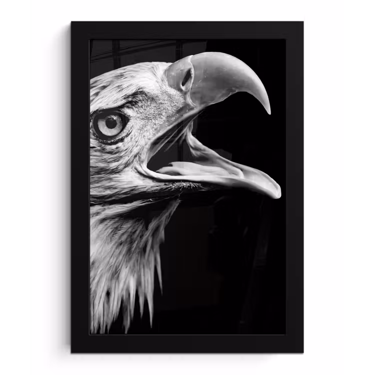 Adelaar - Portret - Roofvogels - Zwart - Wit - Vogel fotolijst zwart zonder passe partout klein -3d