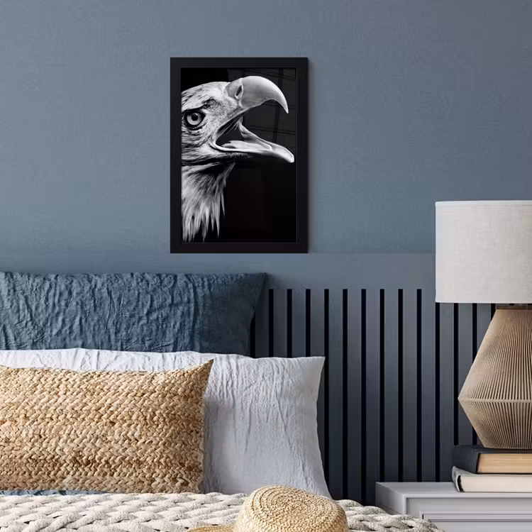 Adelaar - Portret - Roofvogels - Zwart - Wit - Vogel fotolijst zwart zonder passe partout klein -sfeer3