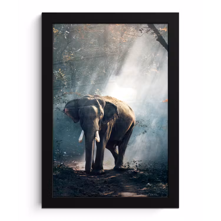 Olifant - Dieren - Licht - Bos - Natuur - Wilde dieren fotolijst zwart zonder passe partout klein -3d