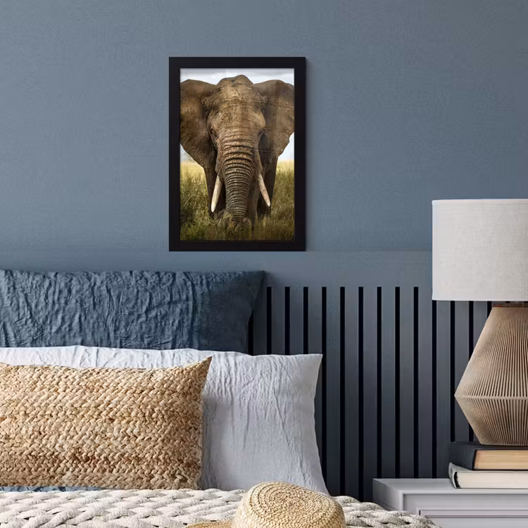 Olifant - Natuur - Gras - Dieren - Landschap fotolijst zwart zonder passe partout klein -sfeer3