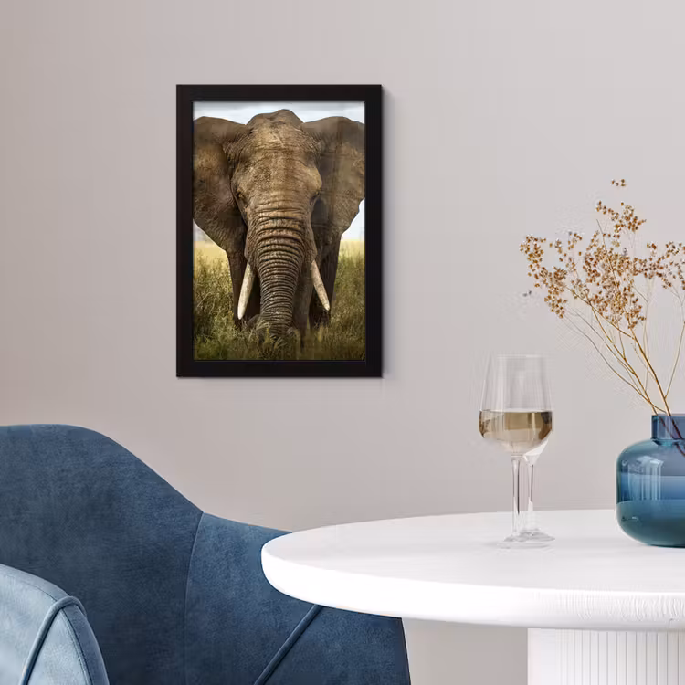 Olifant - Natuur - Gras - Dieren - Landschap fotolijst zwart zonder passe partout klein -sfeer4