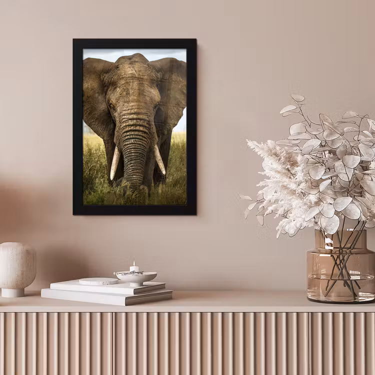 Olifant - Natuur - Gras - Dieren - Landschap fotolijst zwart zonder passe partout klein -sfeer5