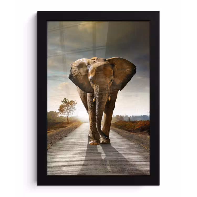 Olifant - Weg - Dieren - Zonsondergang - Landschap fotolijst zwart zonder passe partout klein -3d