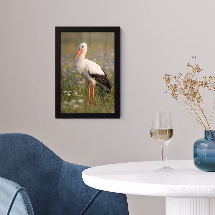 Ooienvaar - Bloemen - Weide - Kleurrijk fotolijst zwart zonder passe partout klein -sfeer4