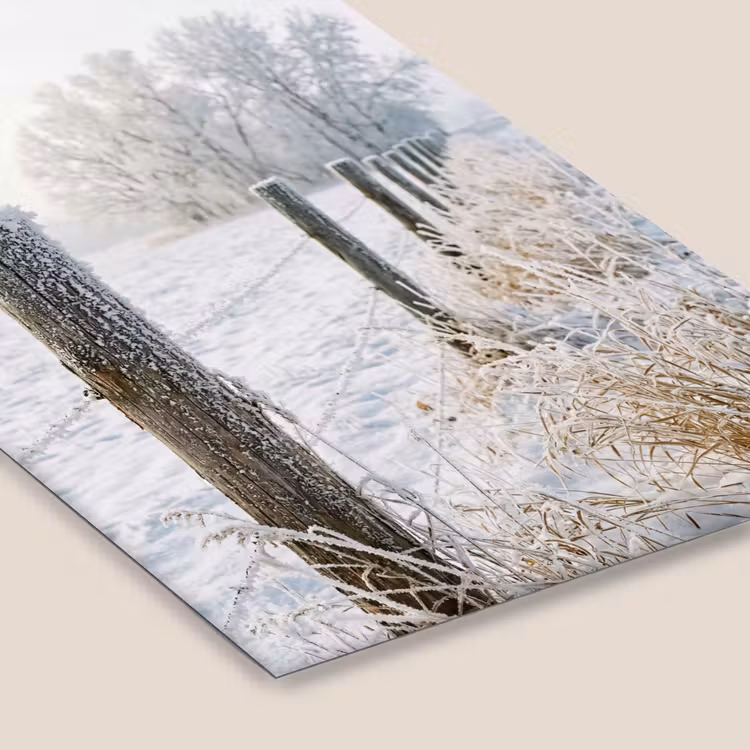 Hek - Sneeuw - Mist - Platteland - Nostalgisch fotolijst zwart zonder passe partout klein -zsfeer6
